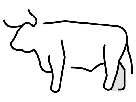 ox (4)