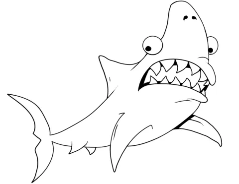 shark (20)