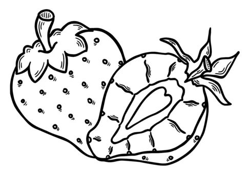 strawberry (10)