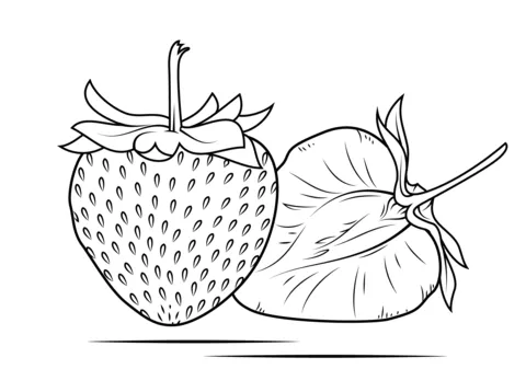 strawberry (11)