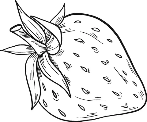 strawberry (12)