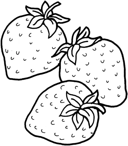strawberry (17)