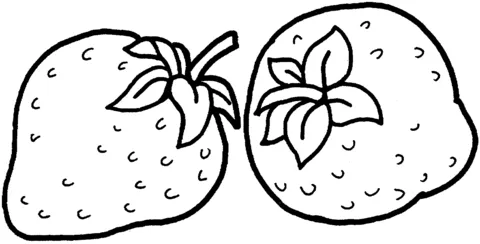 strawberry (18)