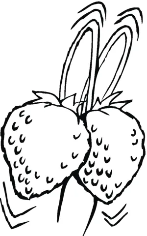 strawberry (19)