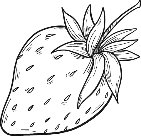 strawberry (22)