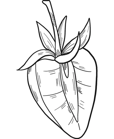 strawberry (5)