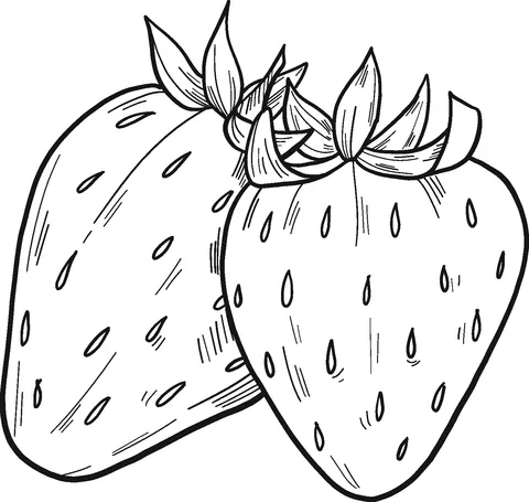 strawberry (8)