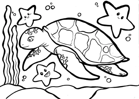 turtle (23)