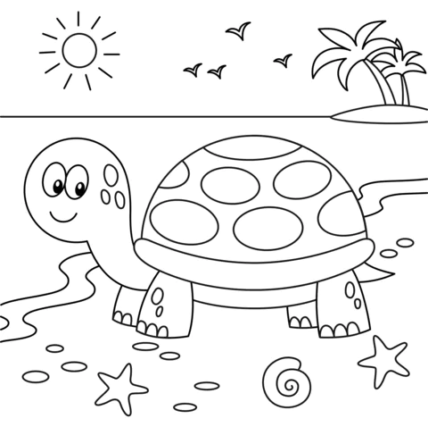 turtle (4)
