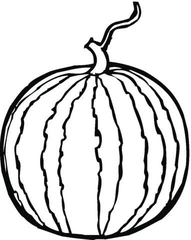 watermelon (11)