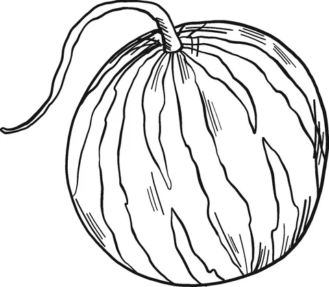 watermelon (12)