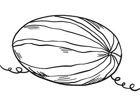 watermelon (14)