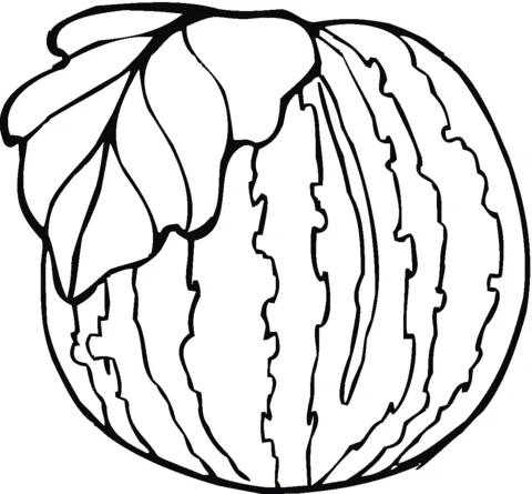 watermelon (16)