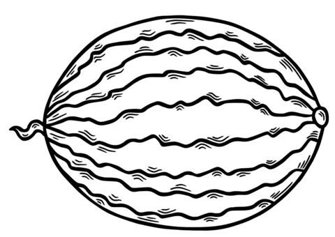 watermelon (17)