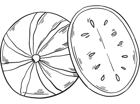 watermelon (18)