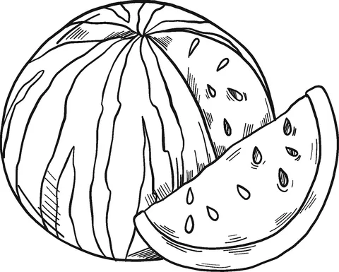 watermelon (2)