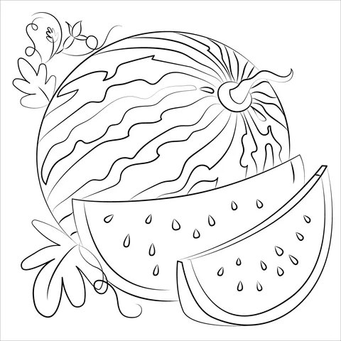 watermelon (20)