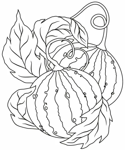 watermelon (24)