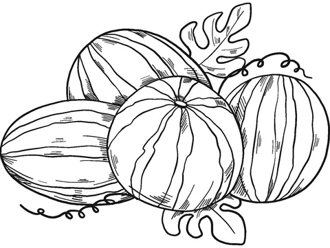 watermelon (25)