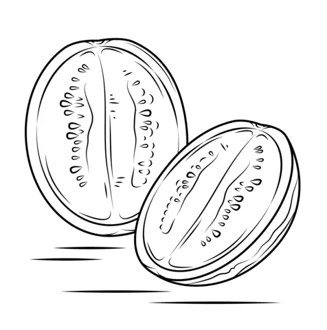 watermelon (9)