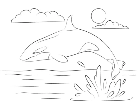 whale (11)