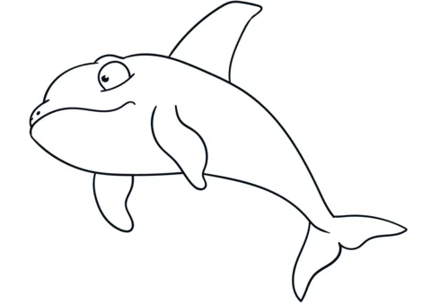 whale (14)
