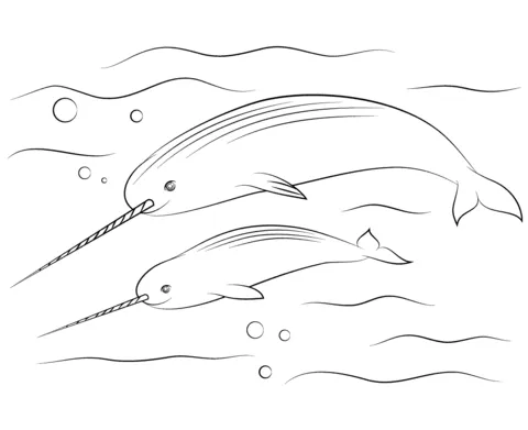 whale (17)