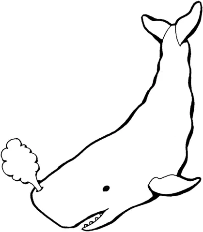 whale (19)